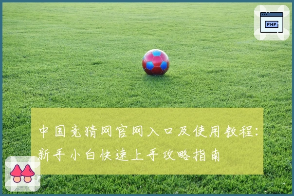 中国竞猜网官网入口及使用教程：新手小白快速上手攻略指南